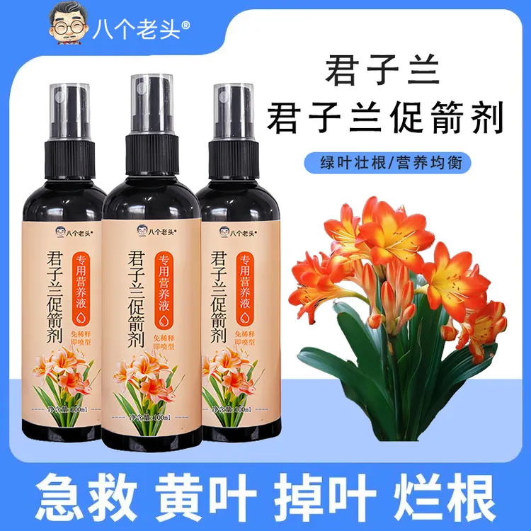 【急救黄叶】君子兰营养液专用叶子发黄烂叶烂根促箭催开花免稀释