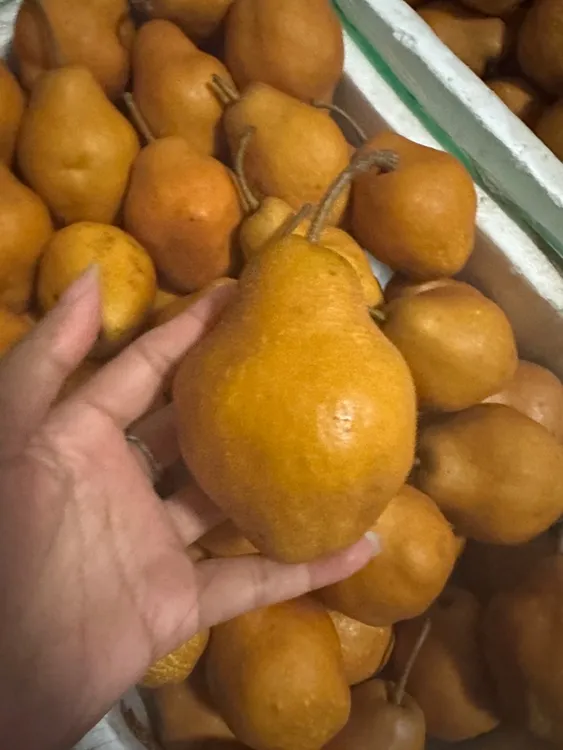 东北新式尖拔梨新鲜细瓤葫芦梨冻梨酸酸甜甜味道好