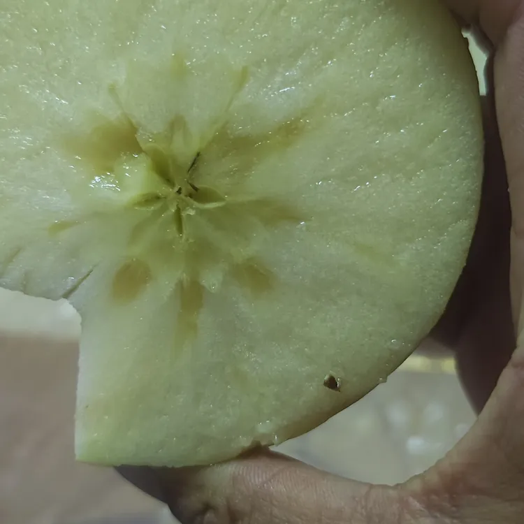 兵团苹果大果10斤带箱新鲜采摘果园直发