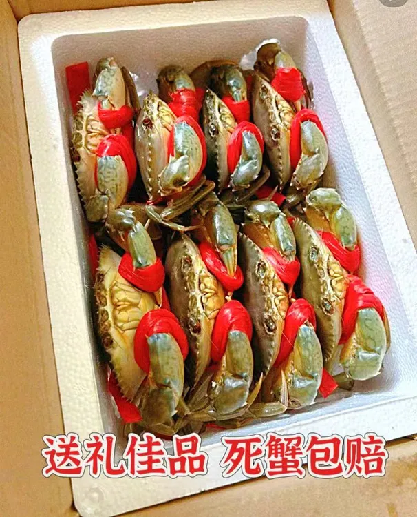 东山岛本港特大红膏蟹红鲟包有膏鲜活到家顺丰包邮