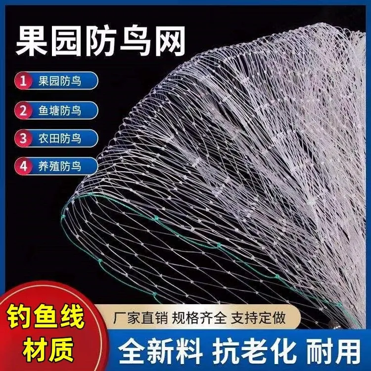 樱桃果树防鸟网果园菜地防鸟网网葡萄网果园防护防鸟新款专用