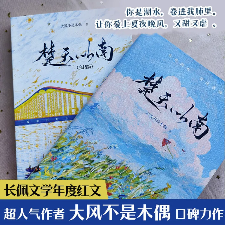 楚天以南双册完结 大风不是木偶著 青春校园双男主救赎小说实体书