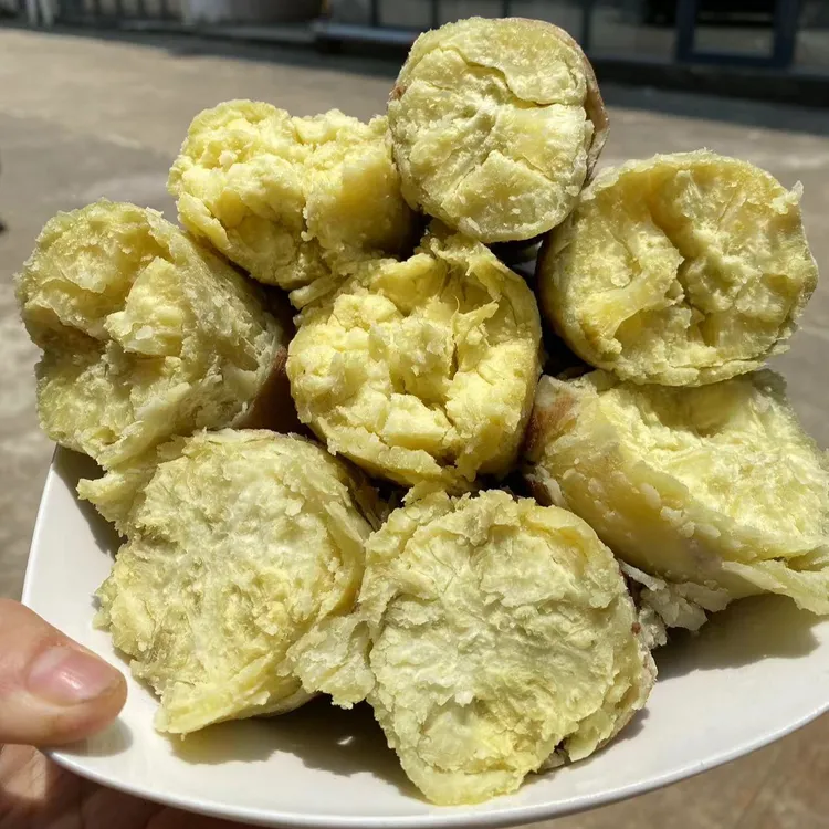粉栗薯 粉香干面 新鲜现挖 广东 5斤-10斤