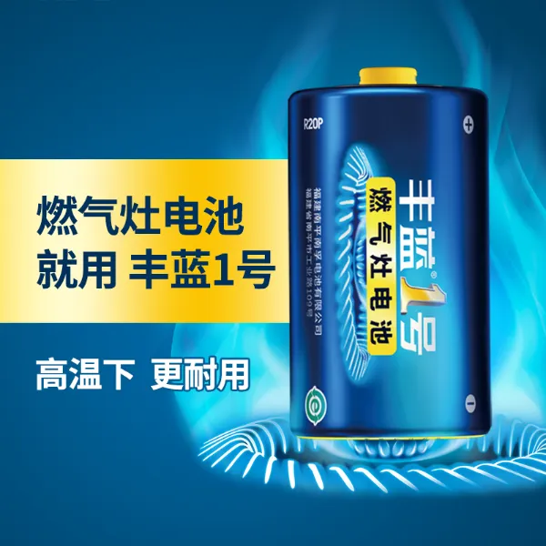 南孚电池丰蓝1号电池燃气灶电池大号热水器电池煤气灶一号干电池