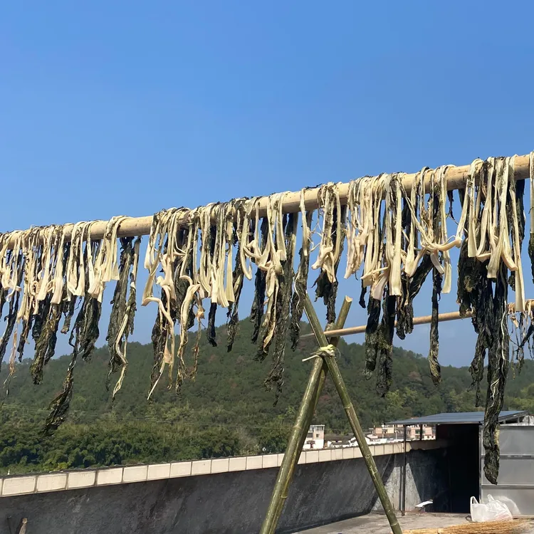 广宁芥菜干250克新鲜晒干煲汤煲粥焖肉好吃