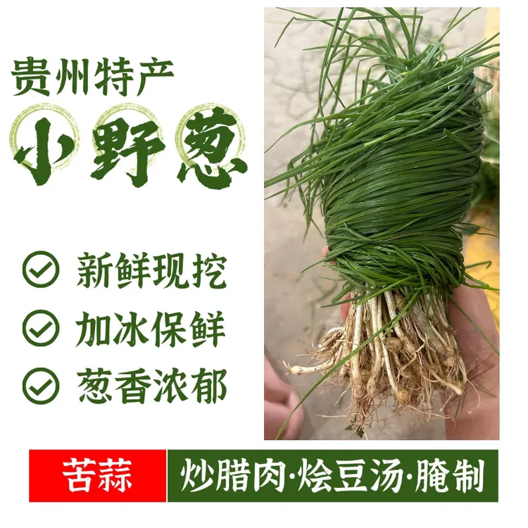 贵州新鲜野葱苦蒜现挖现发炒鸡蛋炒腊肉腌制凉拌野小蒜