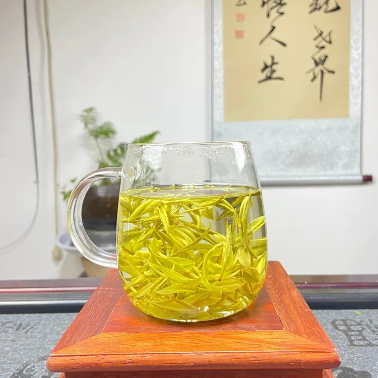 六姐家的茶【H13】2025年熊猫乃白茶，原产地安吉茶品奶香好喝