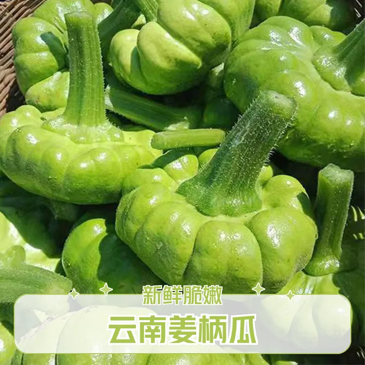 云南姜柄瓜小麦瓜新鲜蔬菜脆嫩健康好吃鲜嫩口感新鲜产地品种发货