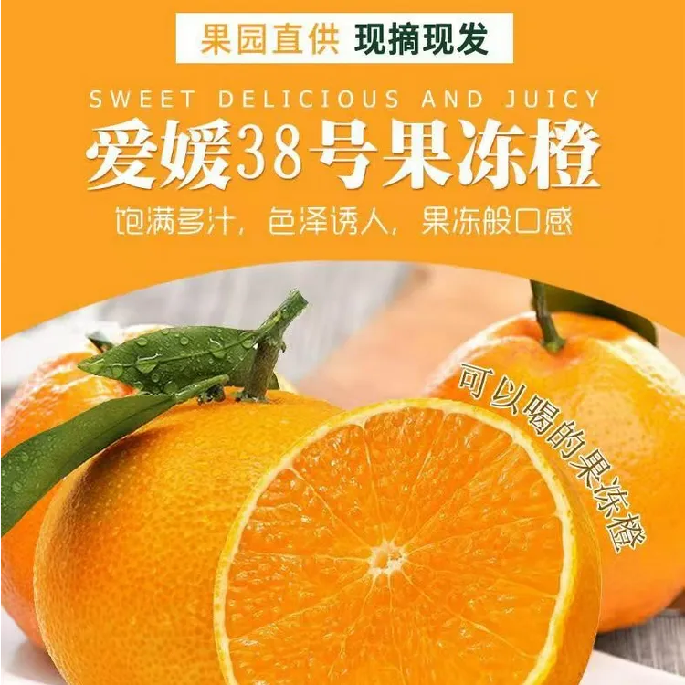 爱媛38号果冻橙皮薄汁多果肉细嫩无籽无筋无丝原产地四川新鲜采摘