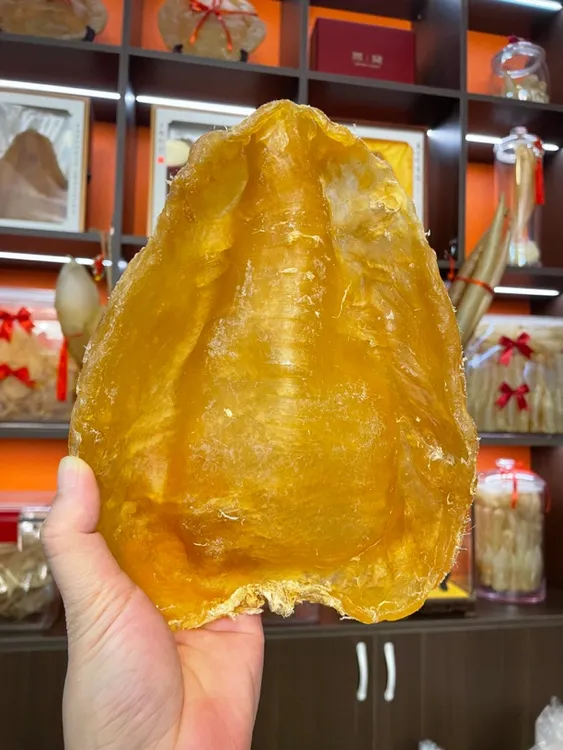 【龙记堂】斗湖鳘鱼胶添加花胶干货煲汤养生滋补口感软糯食用自然