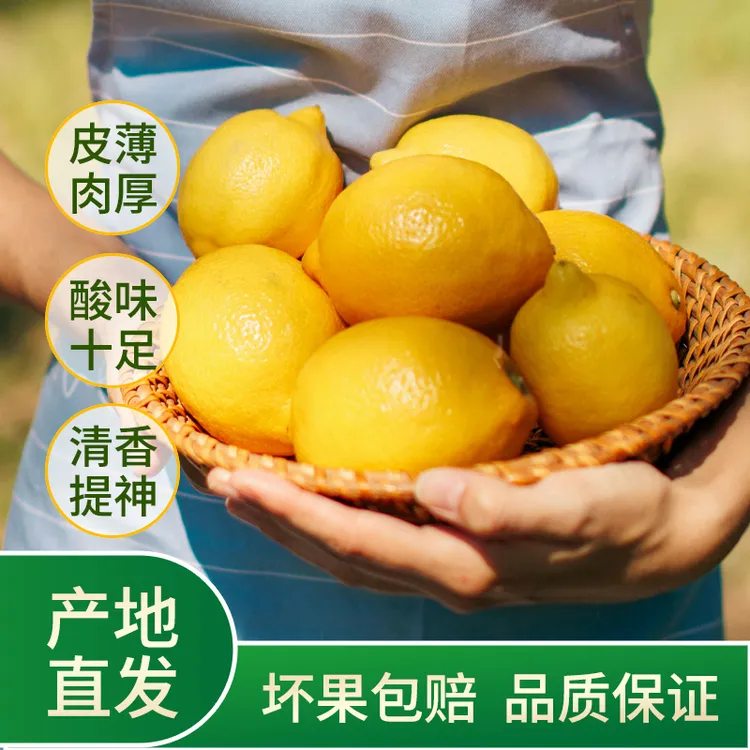 【10粒】 包邮产地直发货新鲜黄柠檬皮薄多汁单个100-140克单果