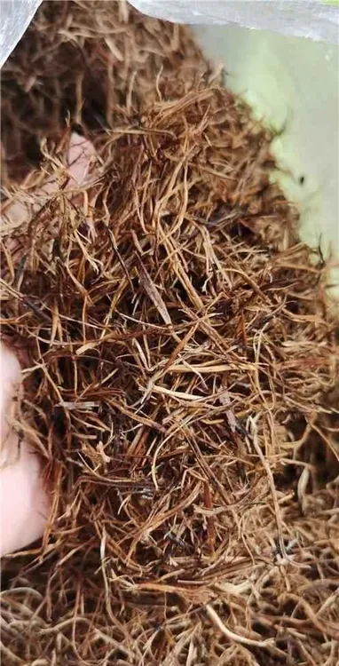 腐熟纯松筋丝松针养花一包25升松针土透气