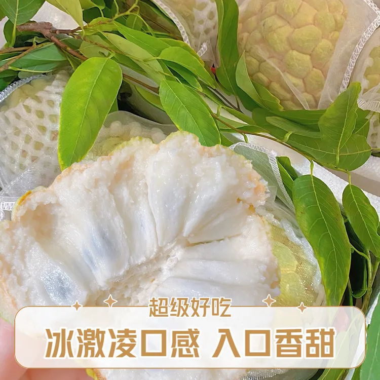 潮汕正宗樟林大目释迦果番荔枝新鲜水果现摘现发1-6斤新品发顺丰
