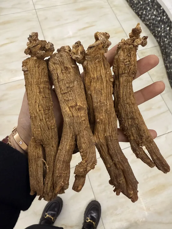 毳森【集安边条大枝头红参】正宗下山货足年足干红参煲汤泡水口感好