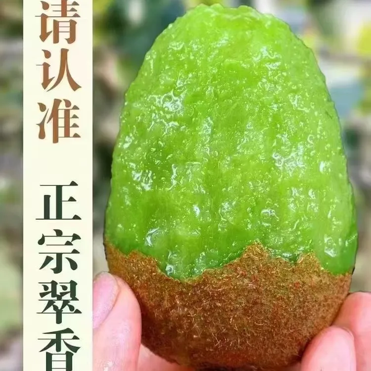 周至翠香猕猴桃现摘现发