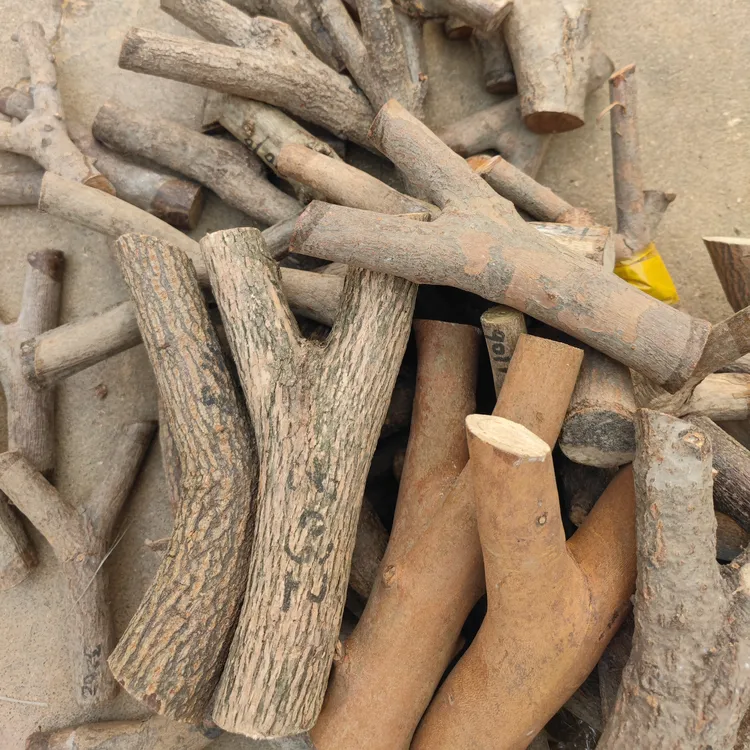 弹弓原叉料栎木叉黄荆木叉