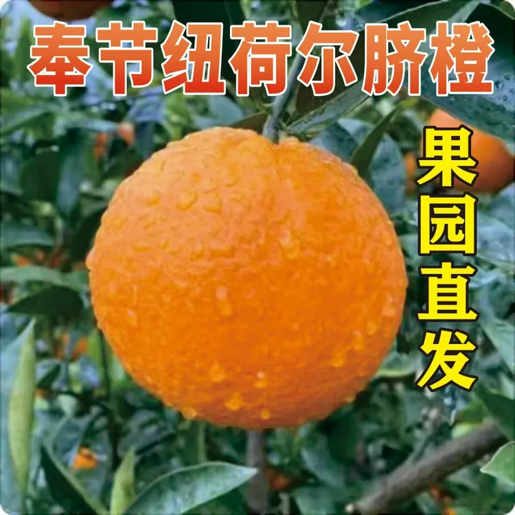 奉节脐橙直供（20斤箱装）香甜多汁源自三峡脐橙之乡