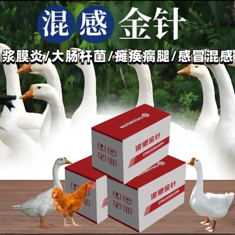 禽类鸡鸭鹅浆膜炎大肠杆菌瘸腿软脚病毒混感拉白色黄白色绿色粪便