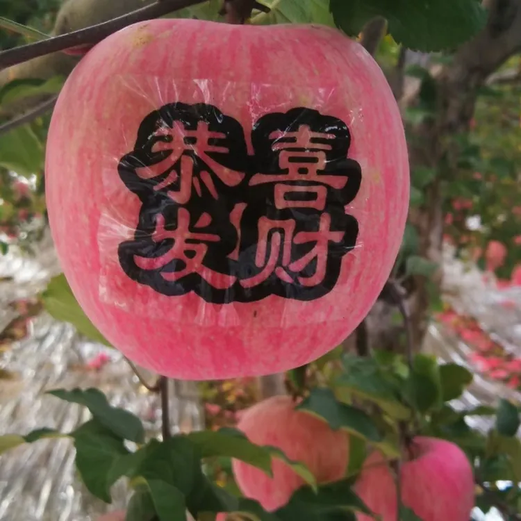 苹果字帖苹果贴画四字祝福语爱情圣诞平安桃子专用套袋