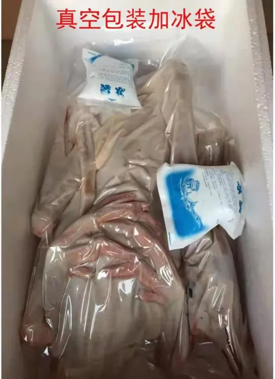 光头强 高山散养特狮头鹅 青草五谷杂粮为主 肉质鲜嫩 包邮包路损