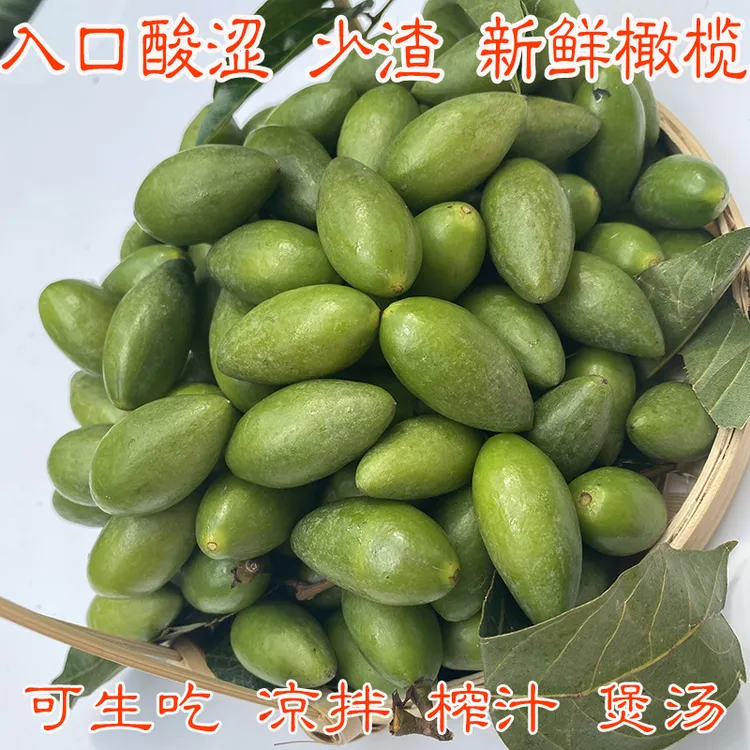 原生态二号青橄榄新鲜橄榄水果青果原味福建福州特产闽清檀香橄榄