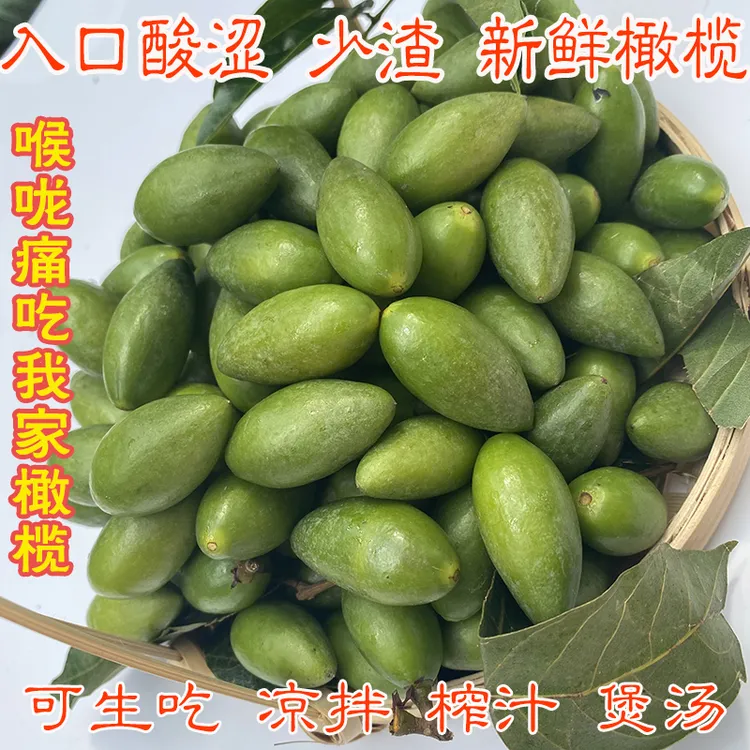 原生态二号青橄榄新鲜橄榄水果青果原味福建福州特产闽清檀香橄榄