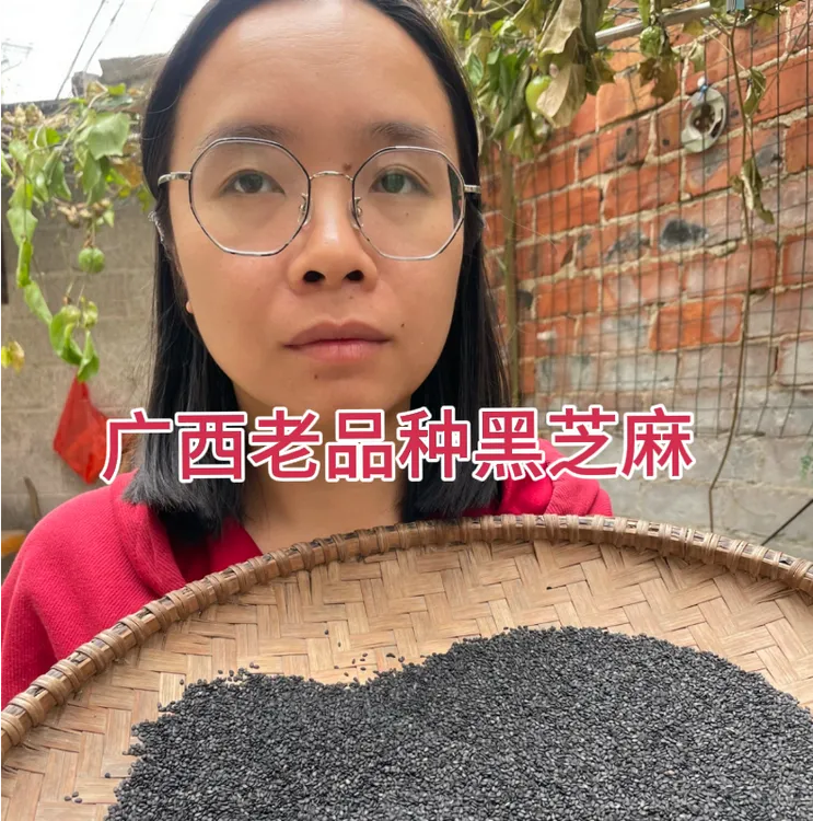 新黑芝麻生黑芝麻油麻广西老品种正宗自留种深山种植香味浓郁