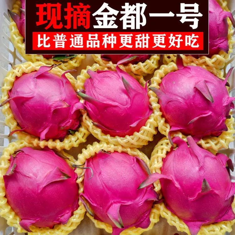 金都一号红心火龙果整箱广西原产地当季现摘新鲜水果红肉蜜宝包邮