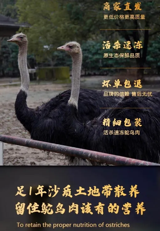 （驼鸟肉碎肉）营养丰富低脂肪 高蛋白真空包装味鲜美味