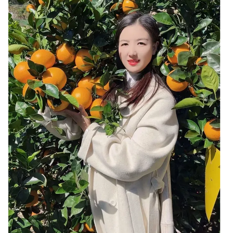 虔城正宗赣南脐橙