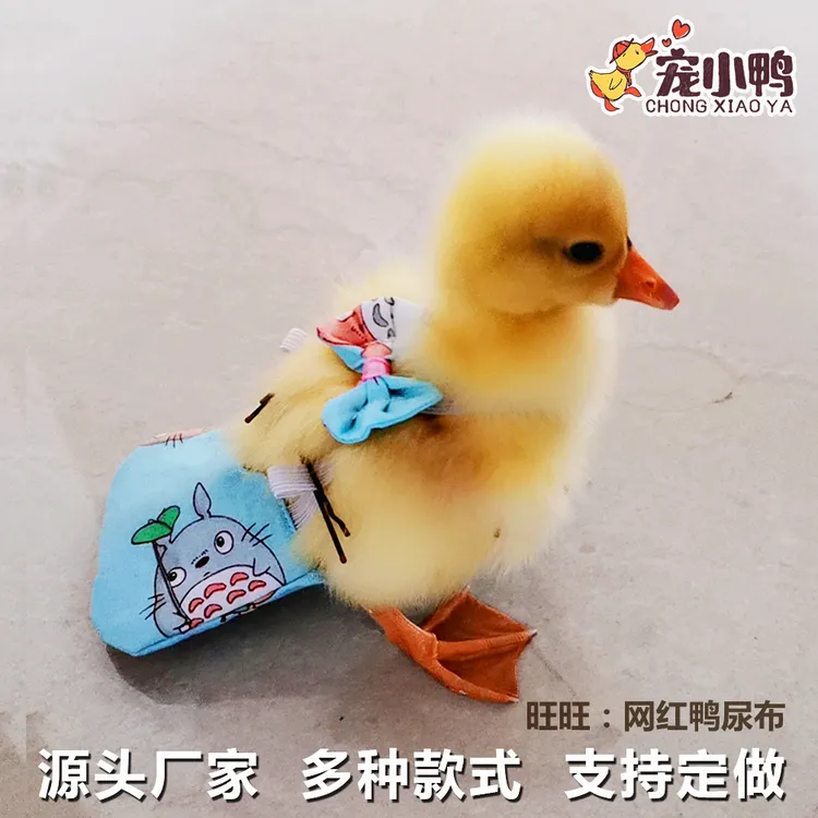 网红宠物鸭尿布柯尔鸭用品鸡鸭鹅通用纸尿裤尿片尿不湿调节升级版