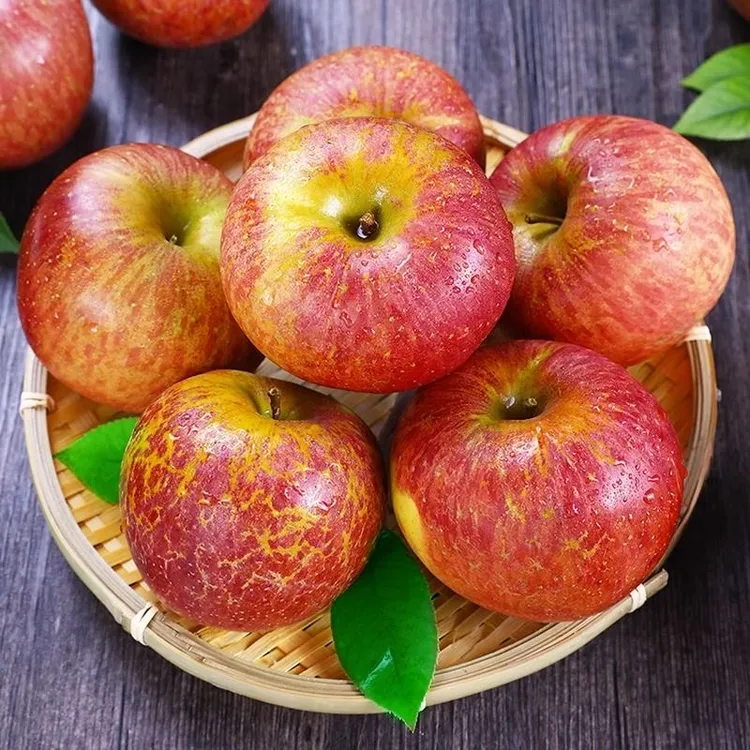 【蛋蛋妈妈专属】四川大凉山 盐源苹果 脆甜多汁 核小肉脆/4.5-5斤  xbh
