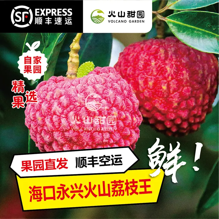 【精品果】海口永兴火山荔枝王自家果园顺风空运