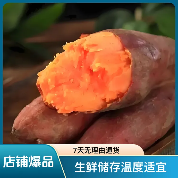 西瓜红蜜薯软糯香甜无丝（自家地里挖）