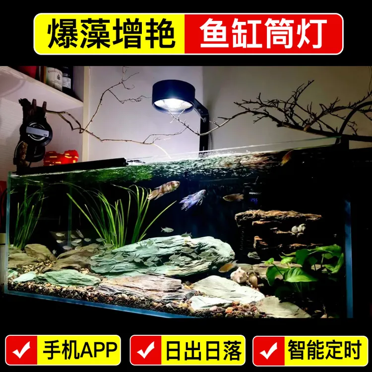 70W手机APP调亮度定时日出日落原生水草兰寿泰狮增艳爆藻鱼缸筒灯