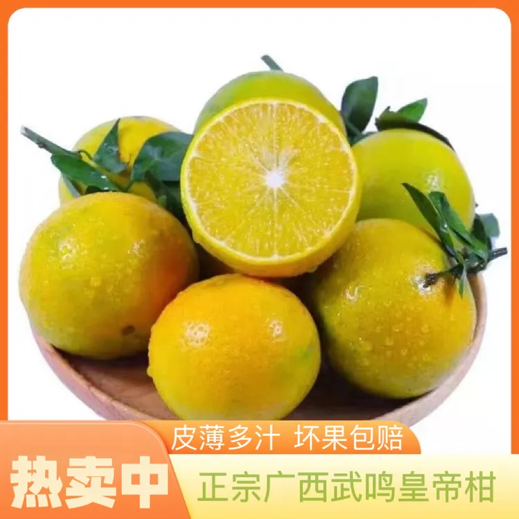 正宗广西武鸣老树皇帝柑贡柑橘子 5/9斤装 新鲜采摘 产地直发