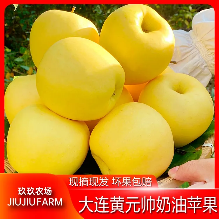 【玖玖农场】黄元帅奶油苹果装芳香味浓松脆爽口水果粉面5斤