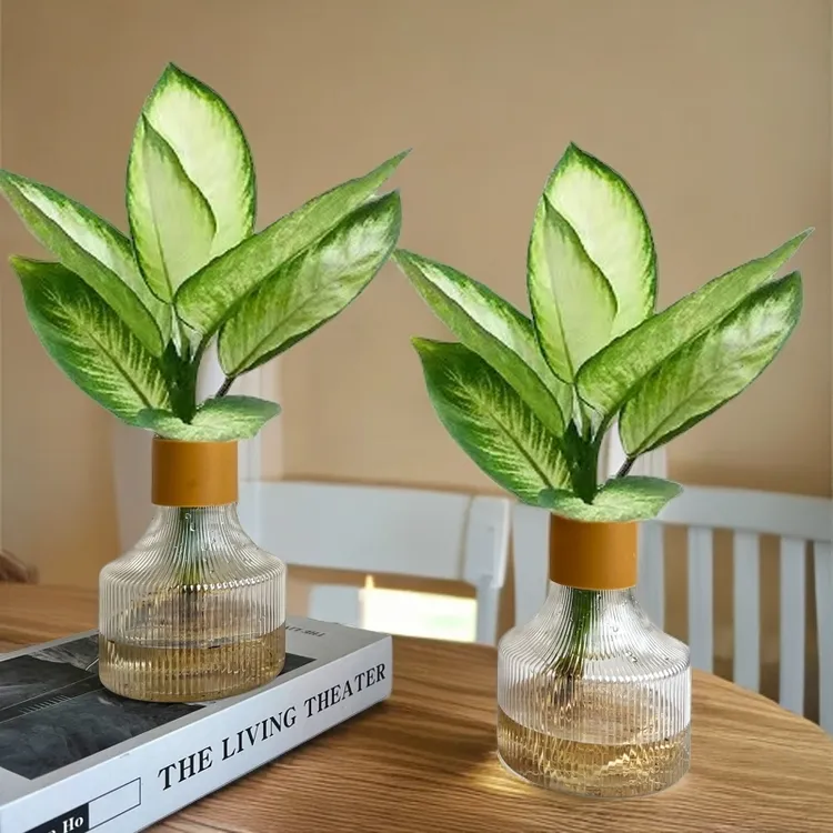 【买一送一】玛丽安客厅室内桌面房间四季常青水培植物绿植