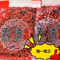 池圣野钓打窝手竿麦诱麦粒窝料