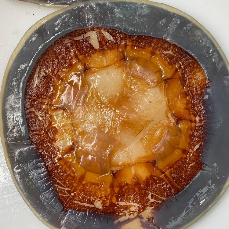 【薄的提干皮】舟山红太阳海蜇皮 三矾提干干皮 鲜脆送人