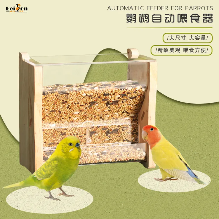 鹦鹉自动喂食器鸟食盒玄风虎皮牡丹中小型鸟吃食防撒防溅喂鸟食盆