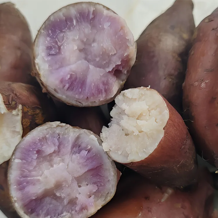 贵州农家番薯软糥香甜老品种红薯紫薯传统耕作农家肥人工除草生态