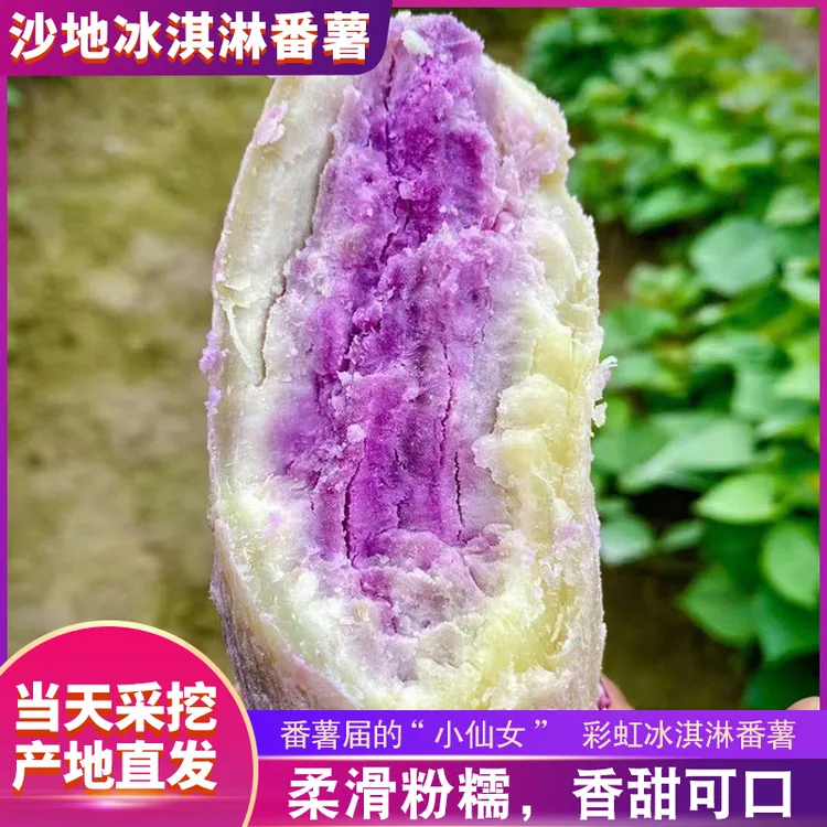 广东新鲜冰淇淋番薯沙地现挖现发红薯一点红地瓜香薯粗粮3/5/9斤