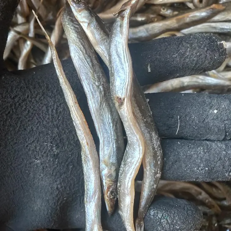 深海小银鱼6-7成干度，中大条母带籽，公鱼有鱼油