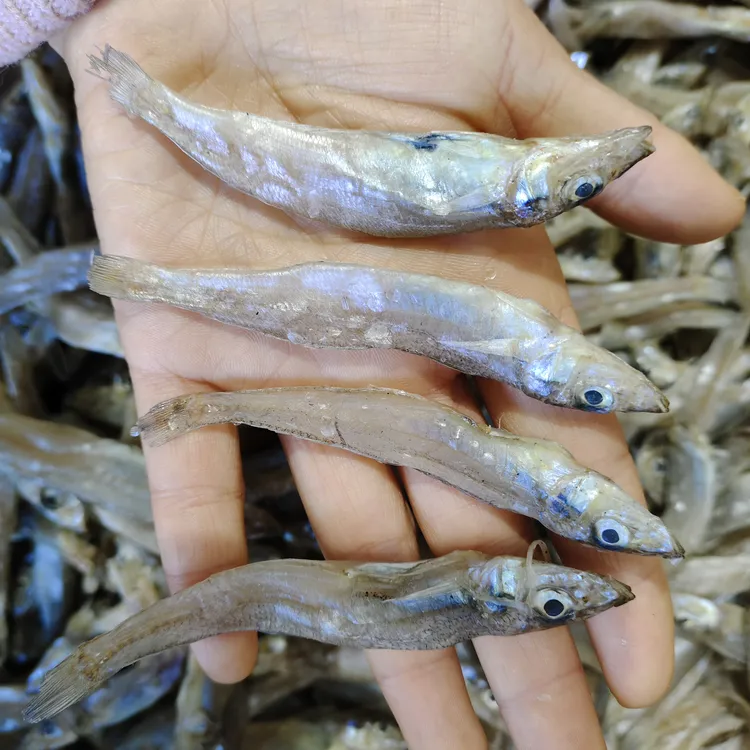 深海小沙丁鱼6～7成干
