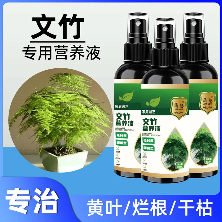 文竹【一喷绿】专用营养液叶子发黄枯瘦根部微量元素土壤施肥生长