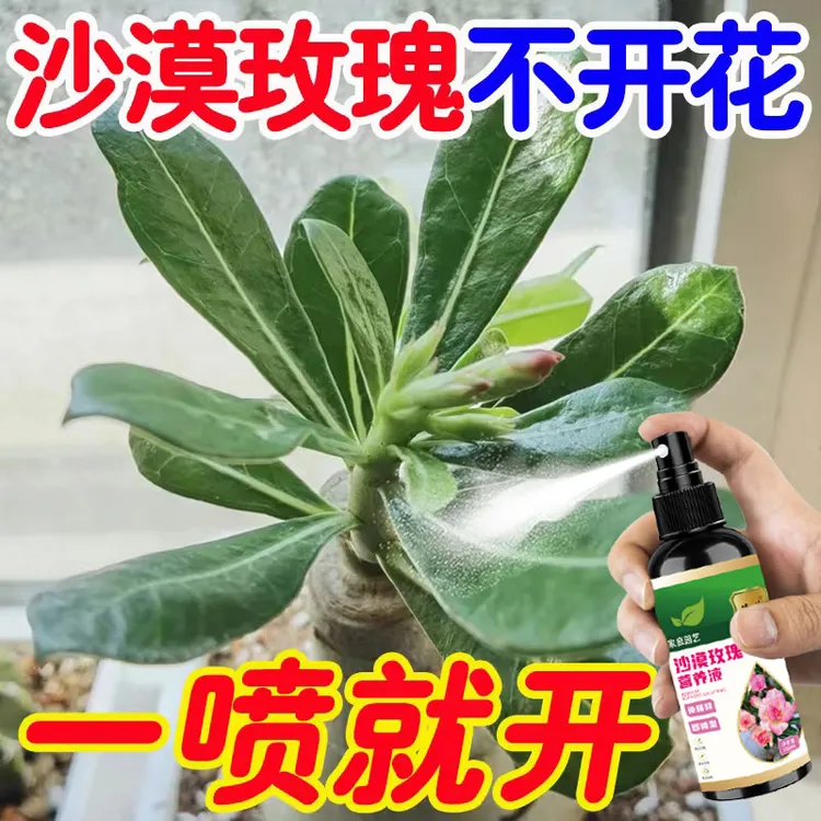 【月月开花】沙漠玫瑰营养液专治黄叶干尖不开花花开不败专用肥料