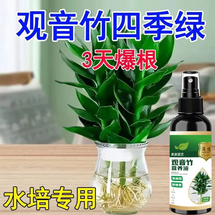 3天爆根】观音竹专用营养液植物四季常绿花肥水培盆栽通用液体肥