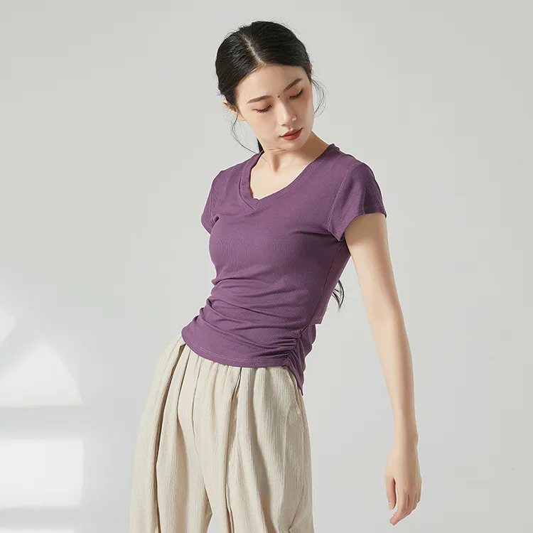 舞蹈服现代古典中国舞舞成人练功服春夏短袖教师跳舞女