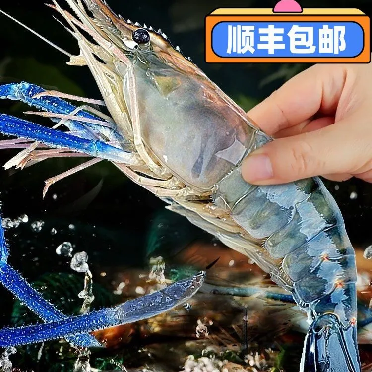 太湖一号罗氏大虾，罗氏沼虾顺丰冷链包邮包鲜不包活